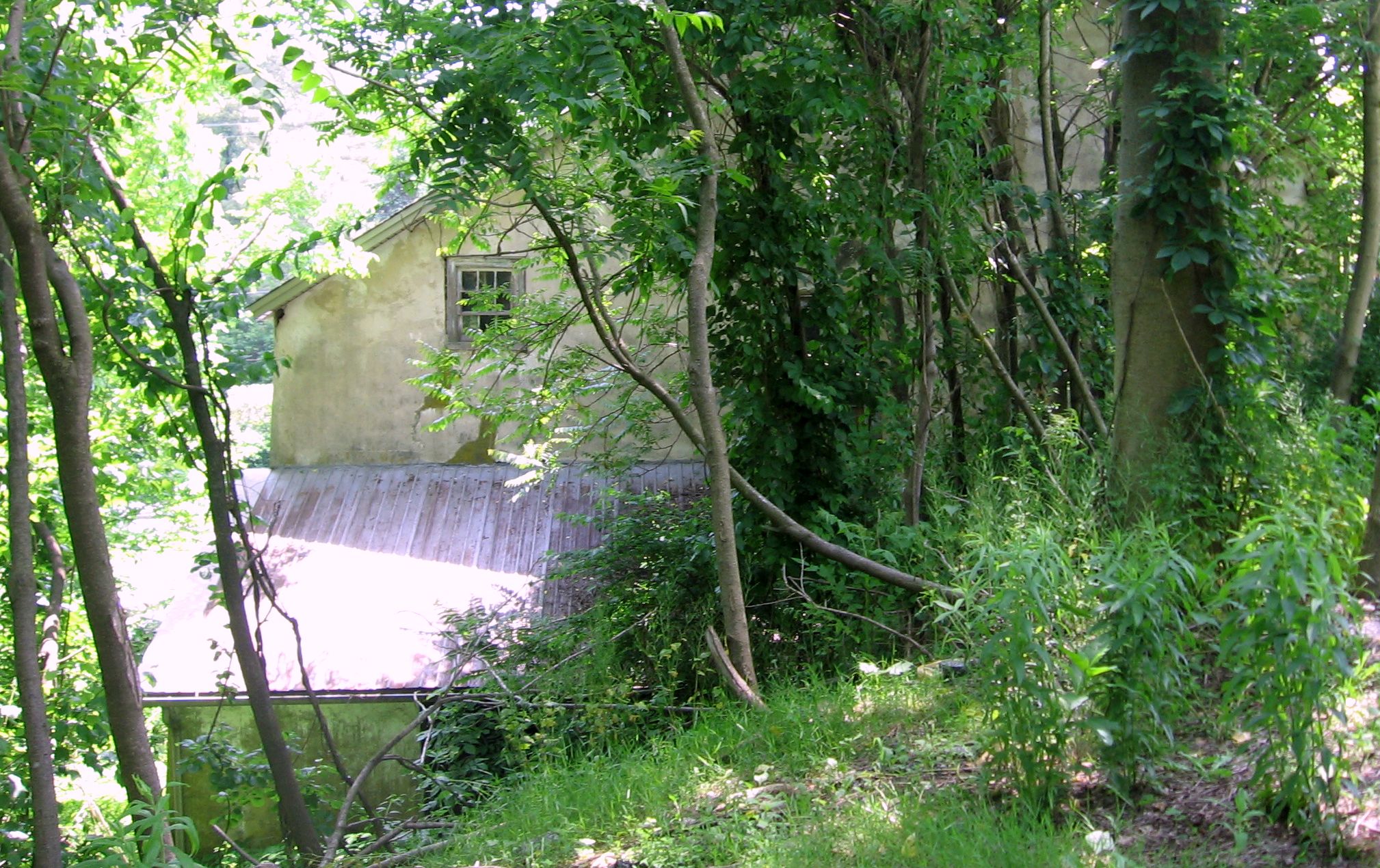 Lewis Mill 001